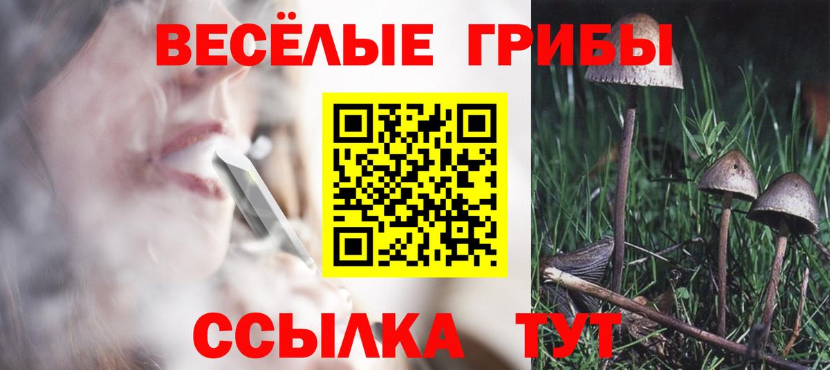 где купить   Псилоцибиновые грибы MAGIC MUSHROOMS  Вход с VPN  Гагарин 