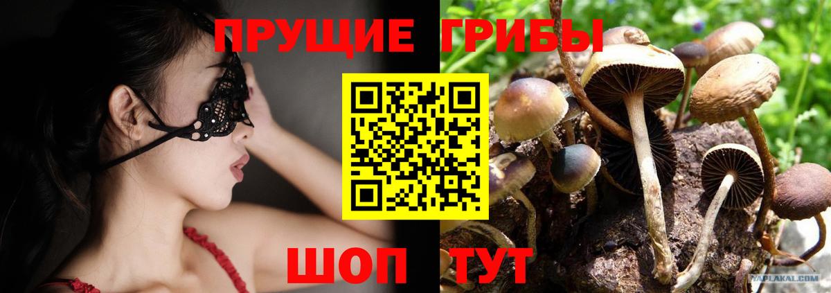 Псилоцибиновые грибы мухоморы Гагарин